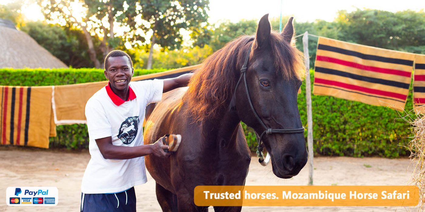 Mozambique Horse Safari