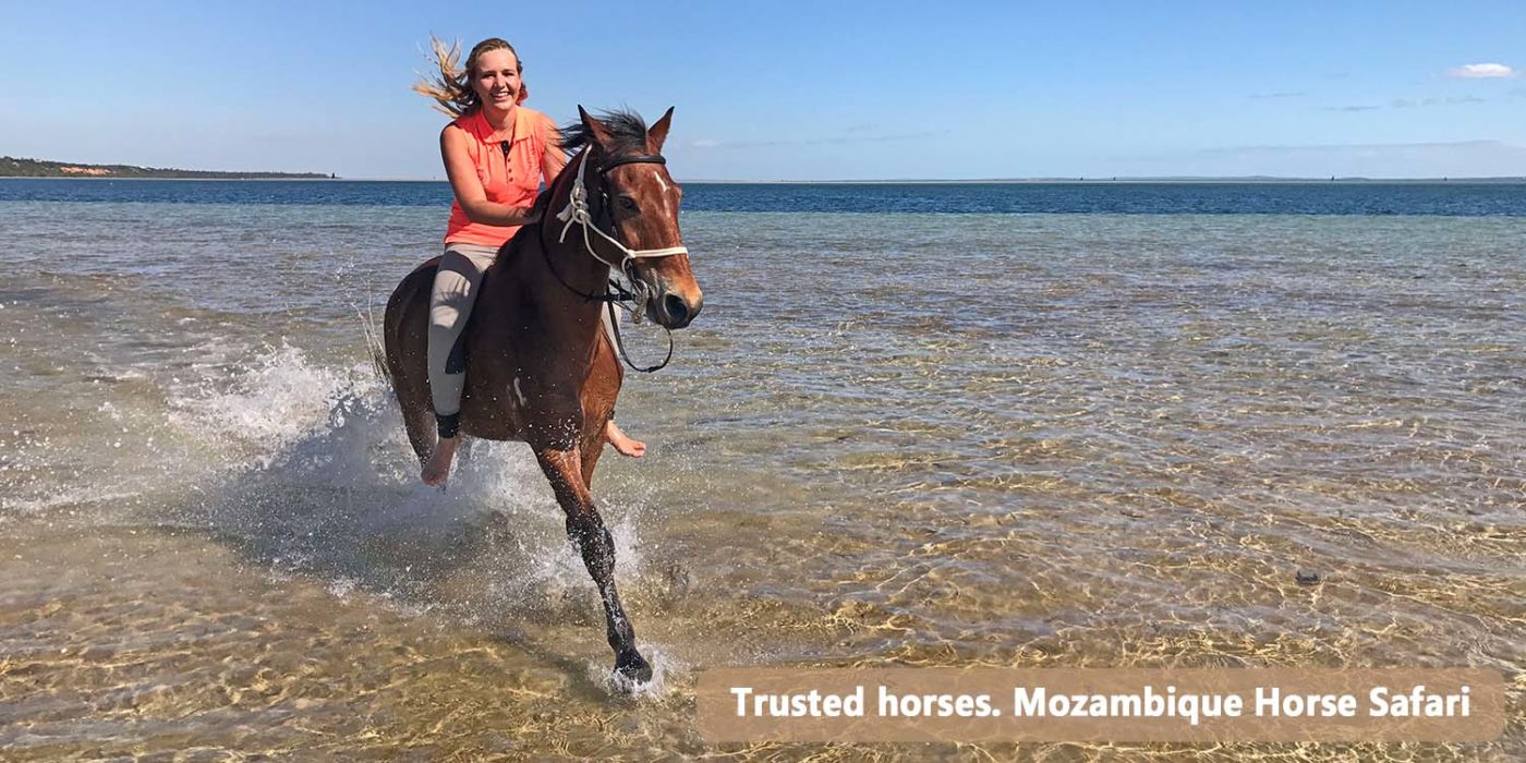 South African Horse Riding Holiday