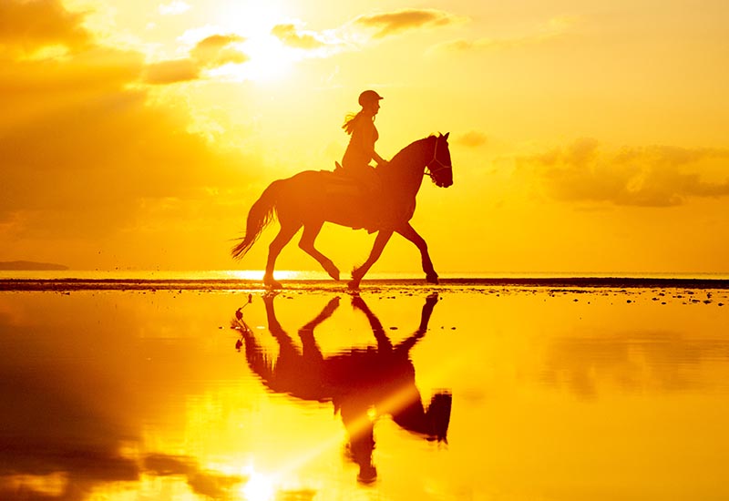 Horseback Riding in Africa